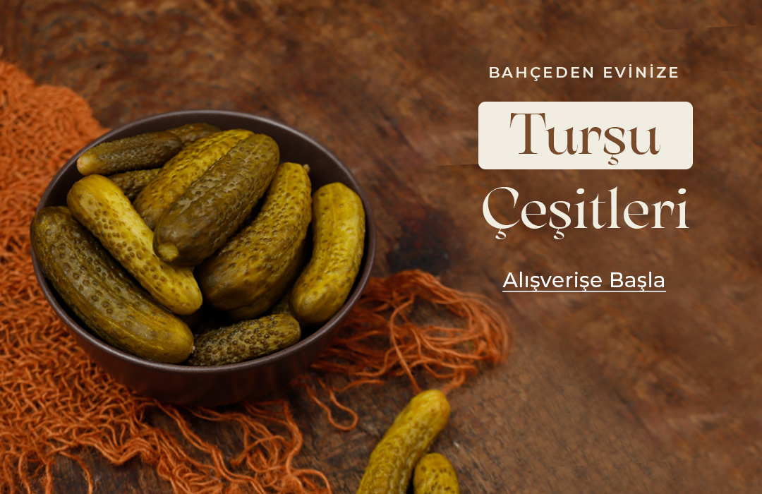 Turşu Çeşitleri